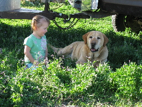 aidan-gus